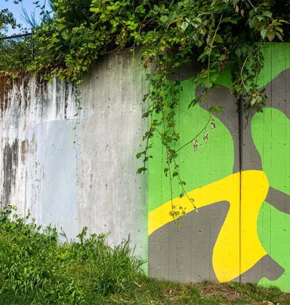 anti graffiti coating