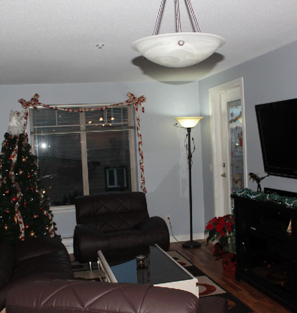Living room with Christmas tree and fireplace, not a kitchen redesign. AZ Painting Ltd.
