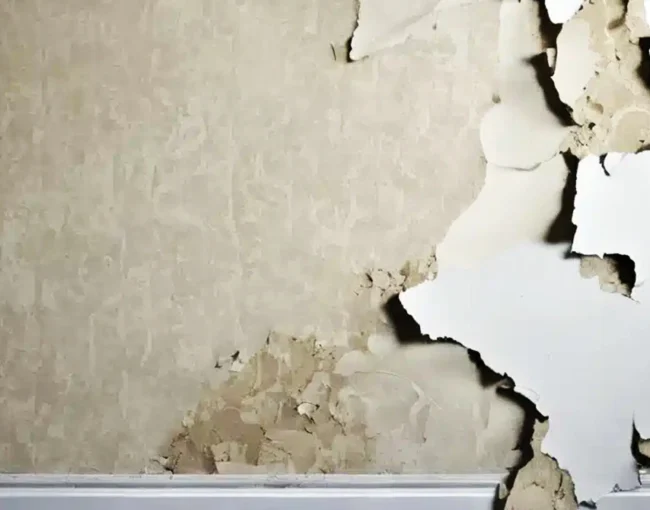 painting and services, residential home painting, color wheel paint, home paint service, home paint services, home painting service, home painting services, adhesive wallpaper, remove wallpaper, step to remove wallpaper