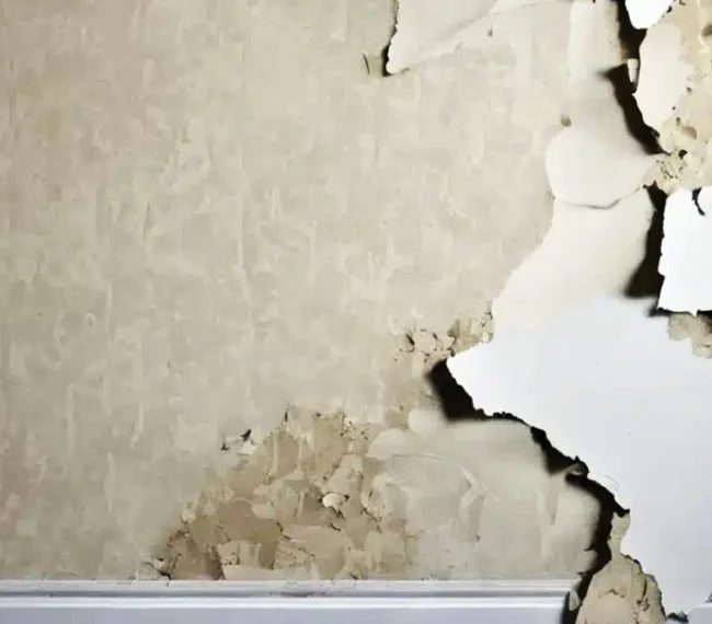 painting and services, residential home painting, color wheel paint, home paint service, home paint services, home painting service, home painting services, adhesive wallpaper, remove wallpaper, step to remove wallpaper